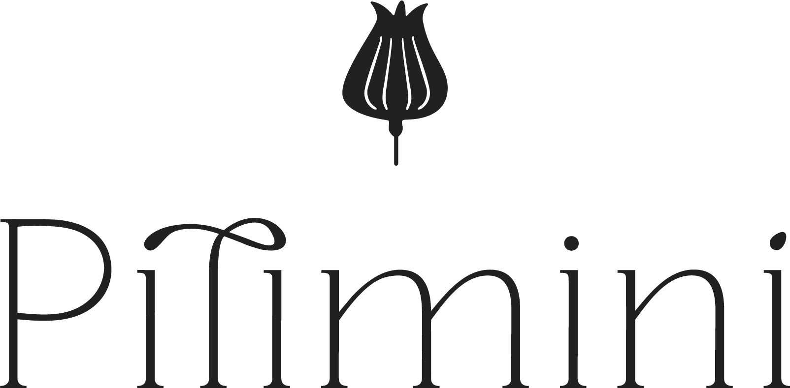 Pitiminí