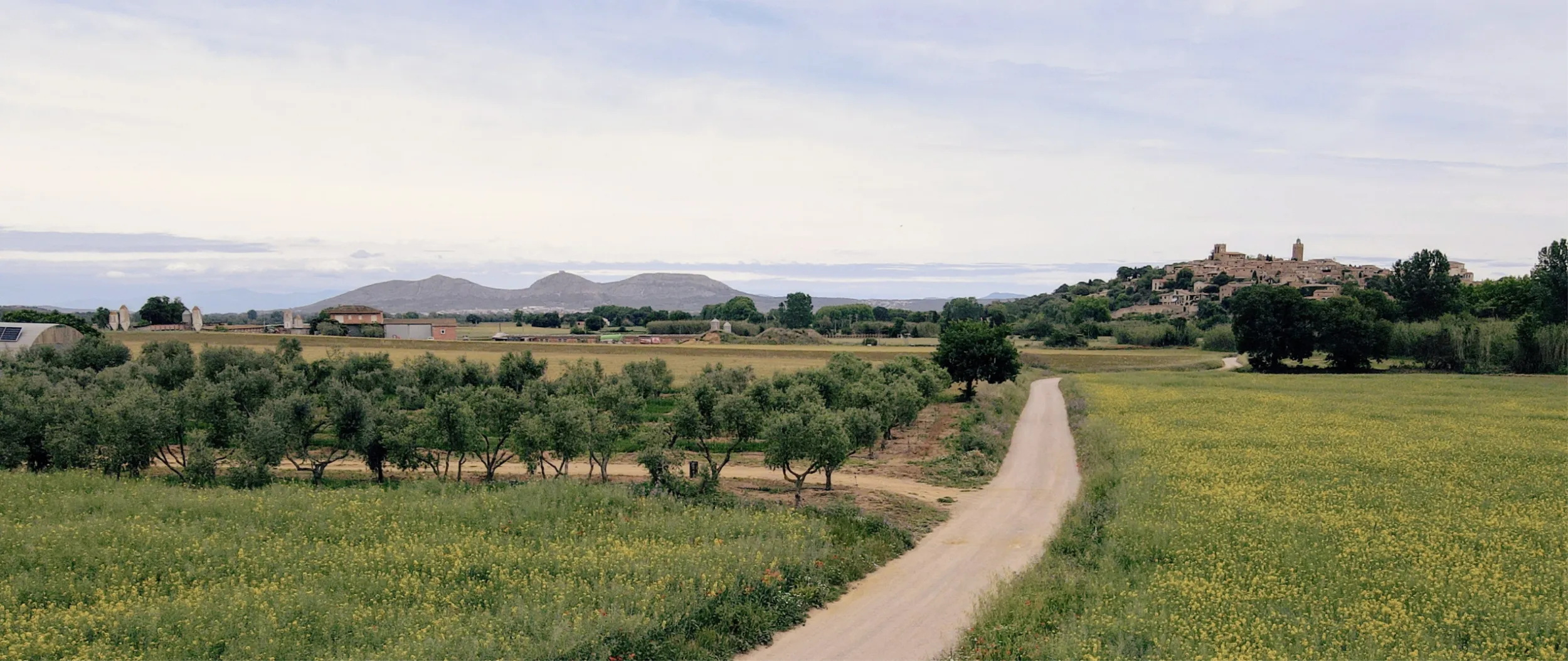 Paisatge de l'Empordà