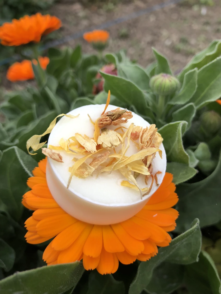 Bombons Aromàtics - Palafrugell